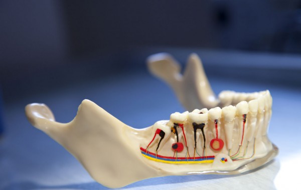Endodoncija